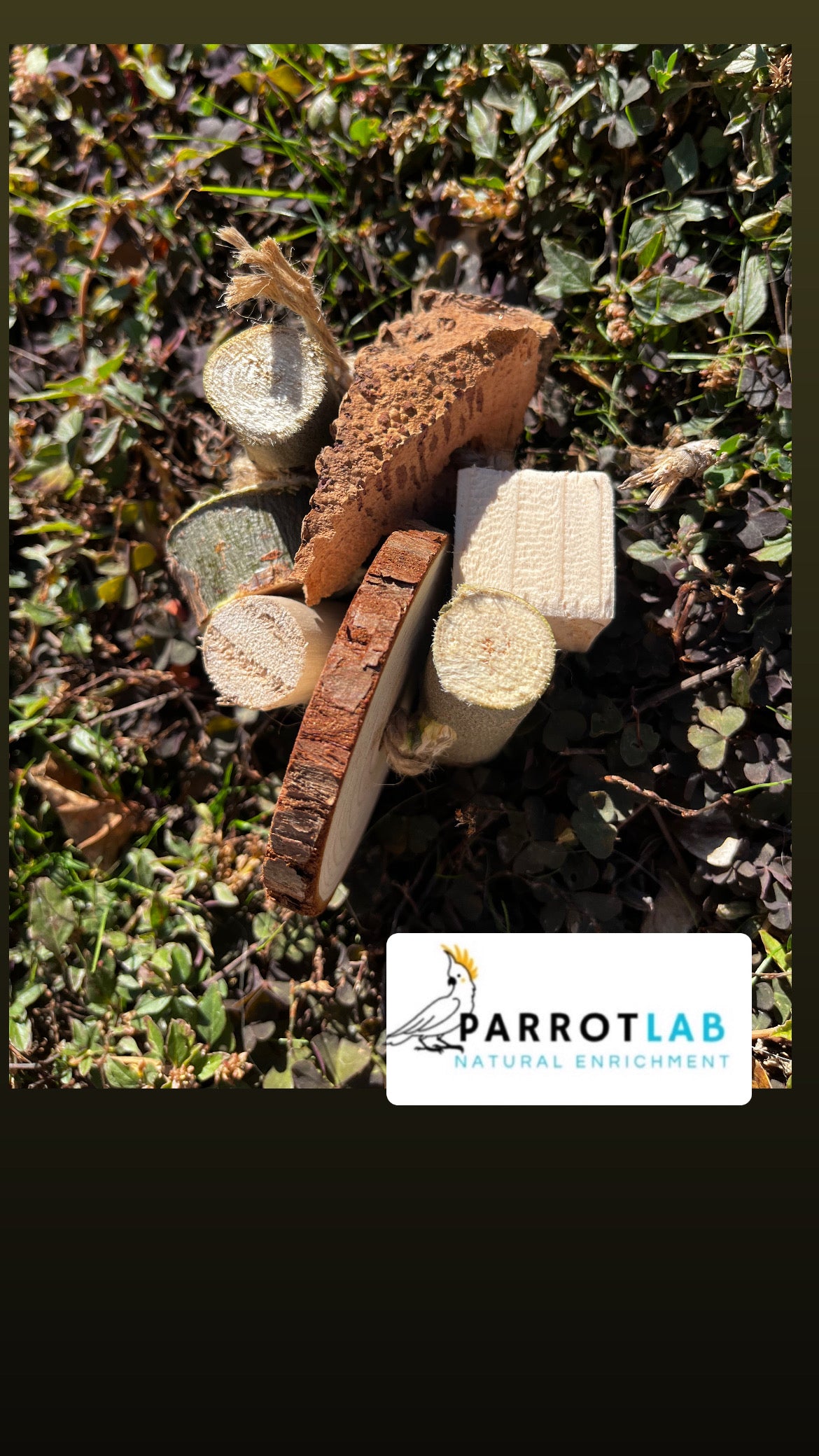 Nature - gioco da piede