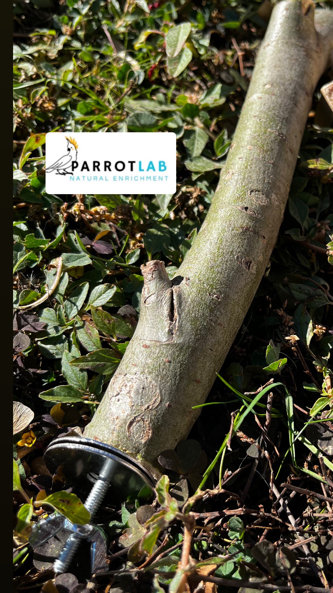 Trespolo per pappagalli di taglia medio e grande