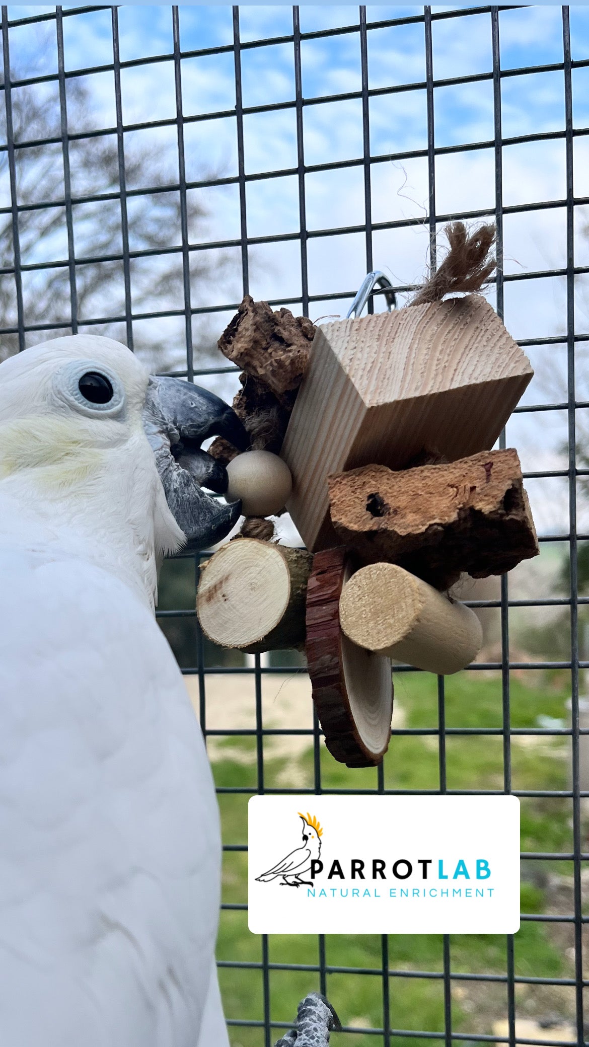 Box Play
