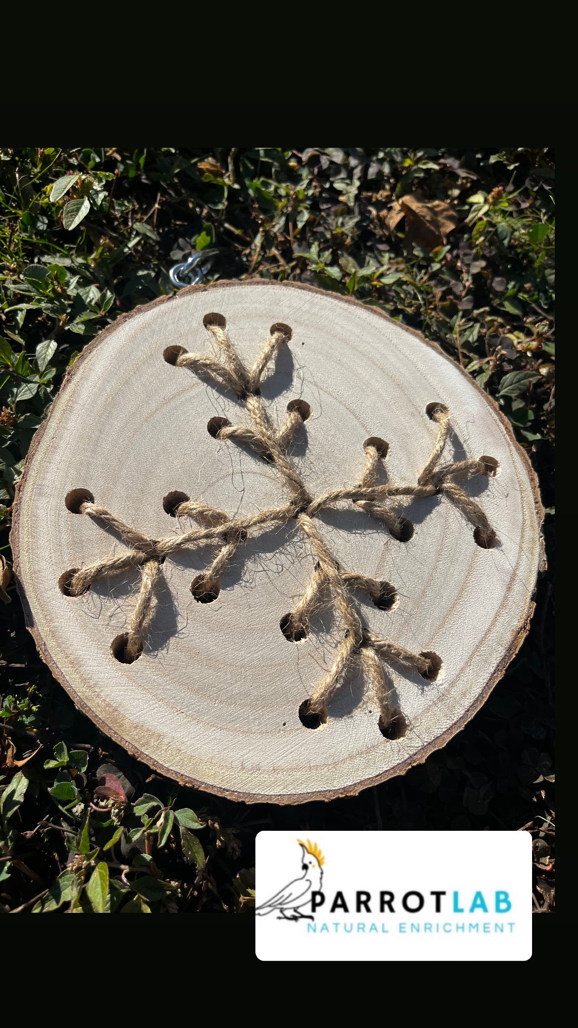 Disco Nature - fiocco di neve