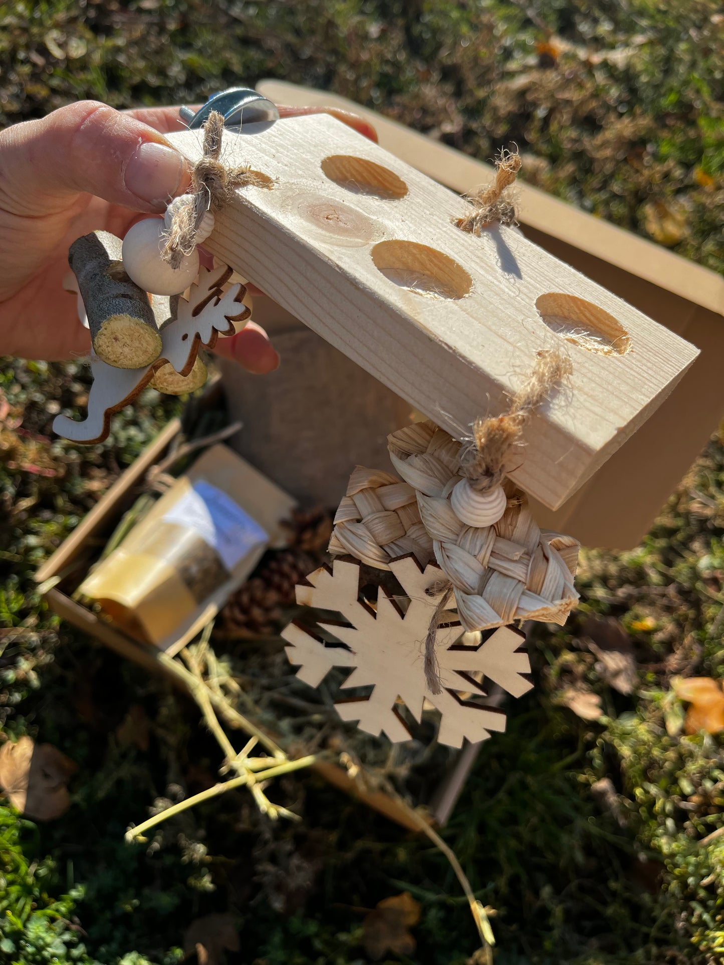 Box Foraging di Natale