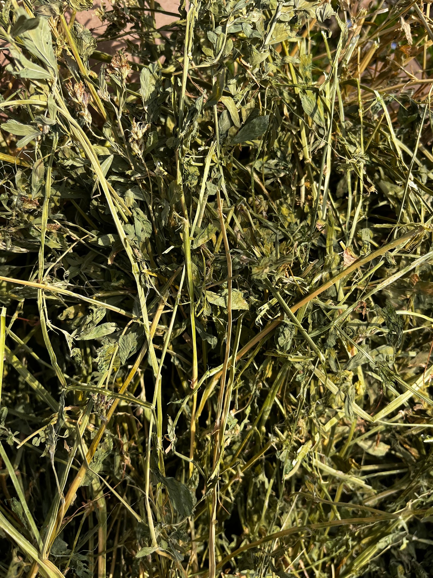 Alfalfa box