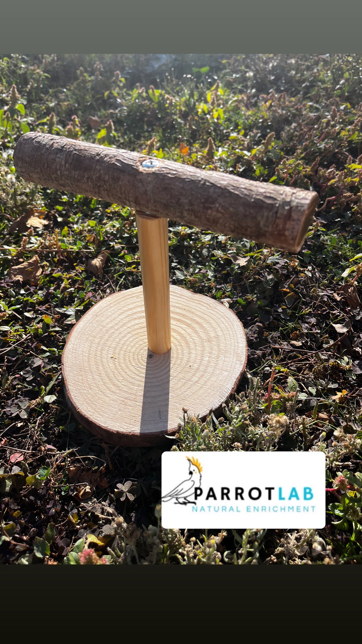 Trespolo da tavolo per pappagalli di taglia grande e media