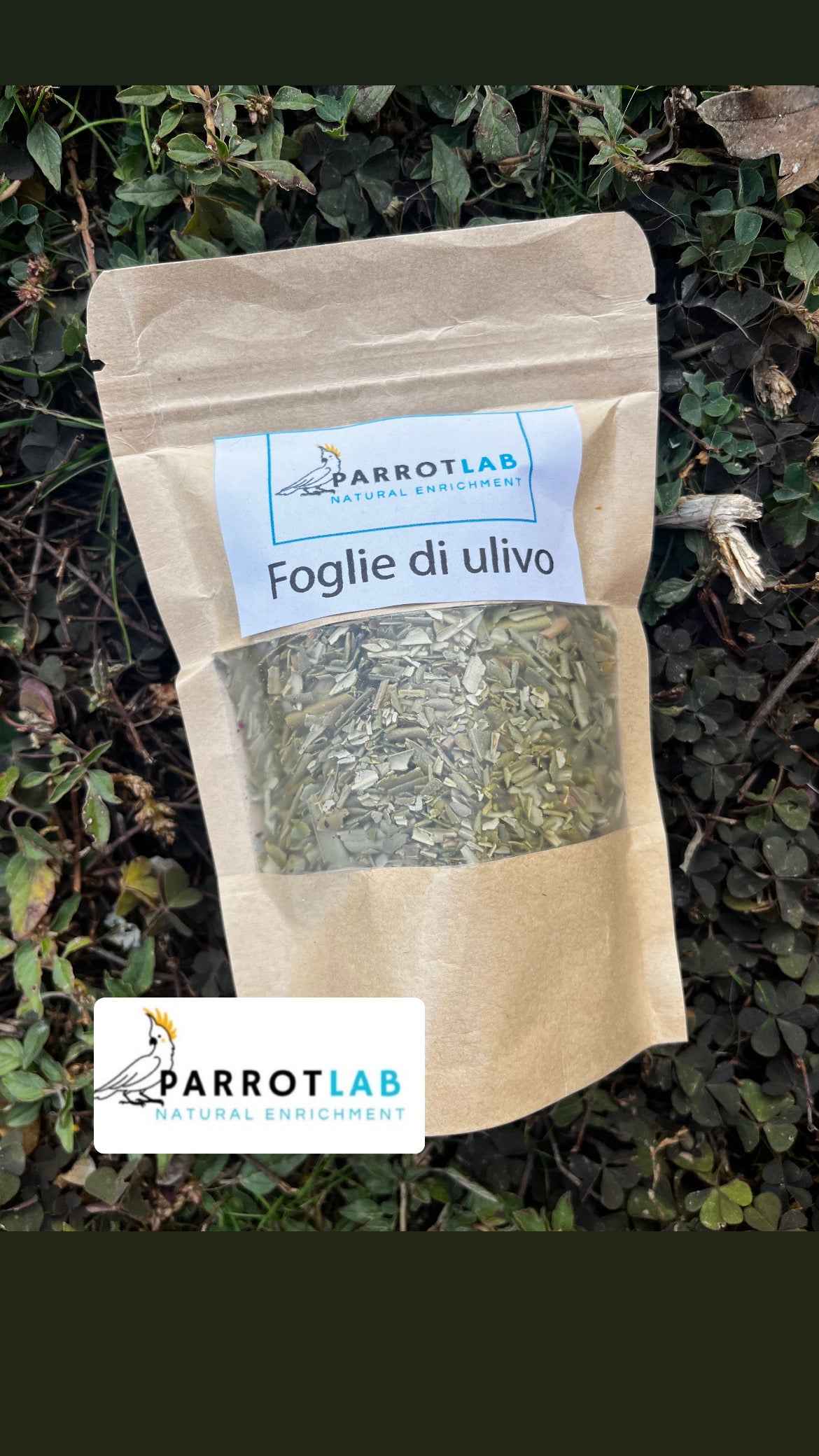 Foglie di ulivo essiccate