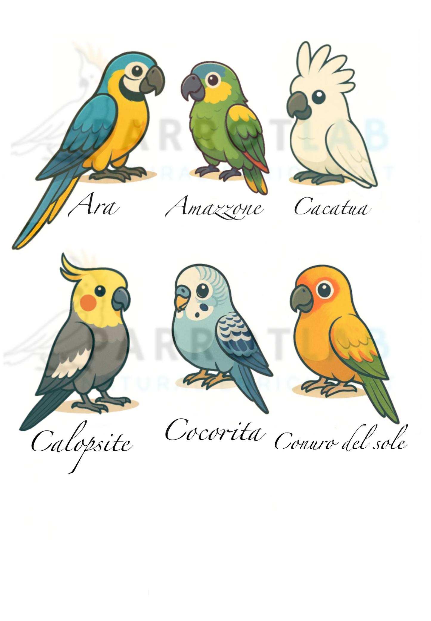 Maglia personalizzata “I know my chickens”