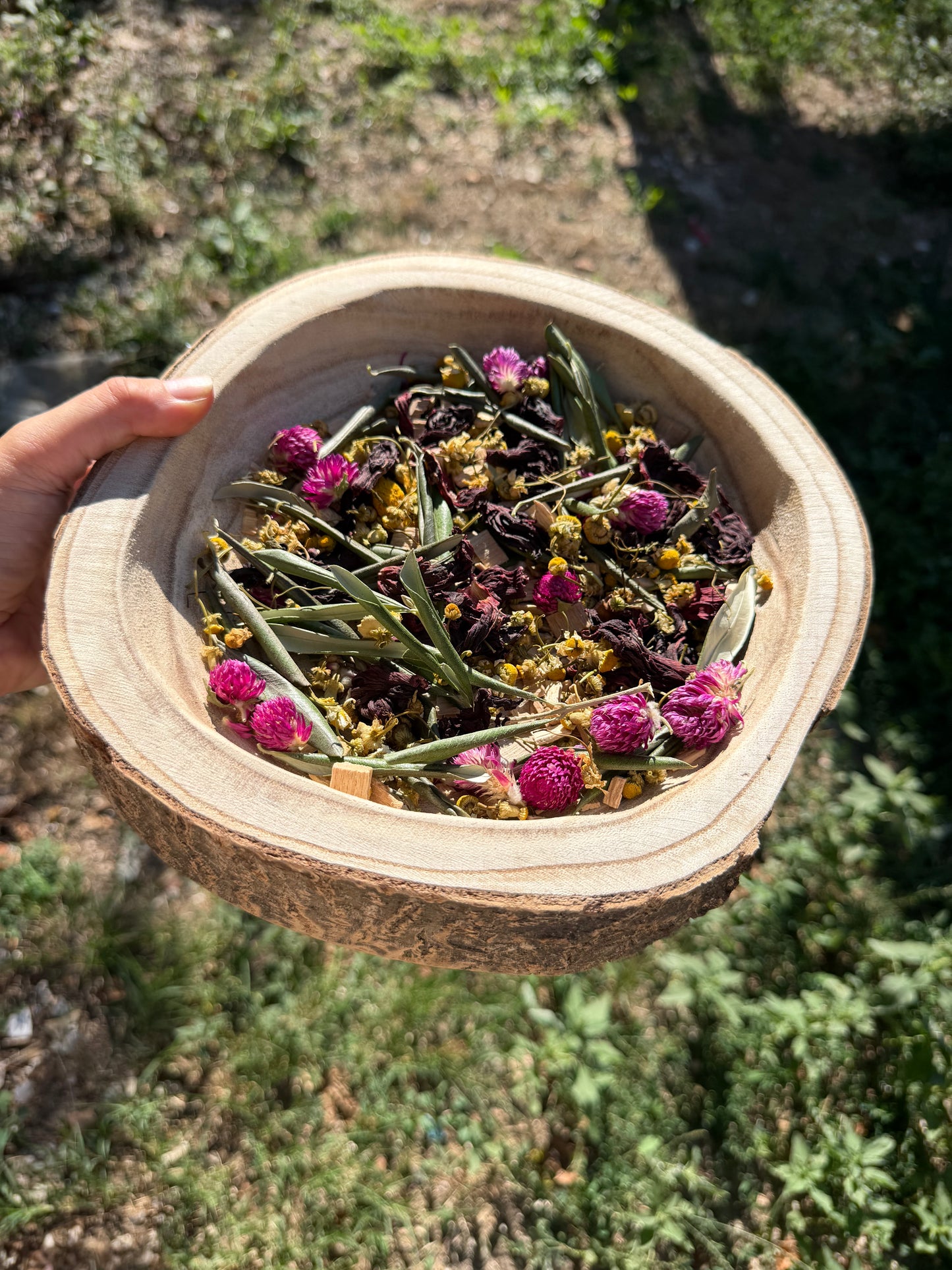 Foraging Bowl Big