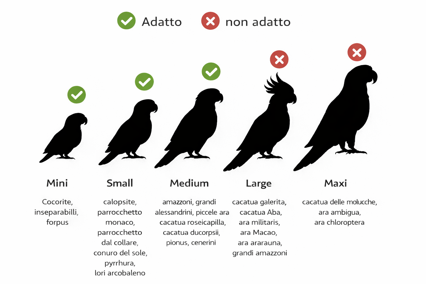 Nature foraging medium
