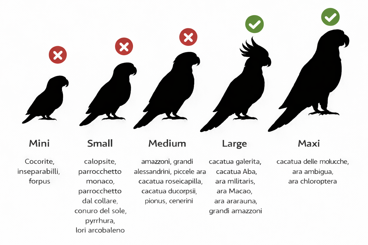 Gioco Tris stimolante in 3 legni diversi