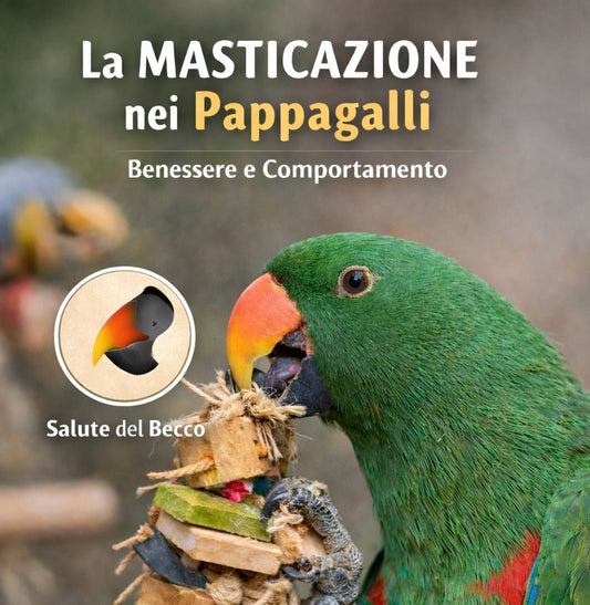 L’importanza dei giochi da masticare nel benessere dei pappagalli