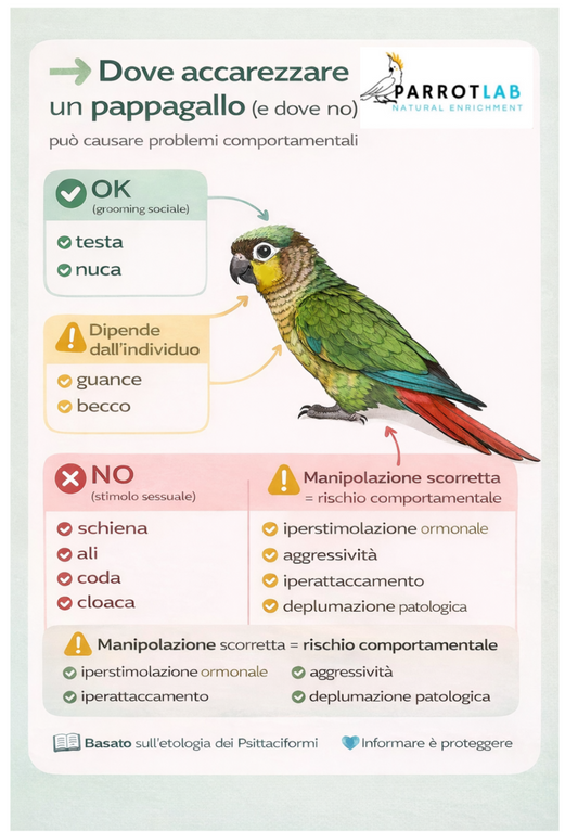Il contatto fisico nei pappagalli: basi etologiche, neurocomportamentali e implicazioni gestionali