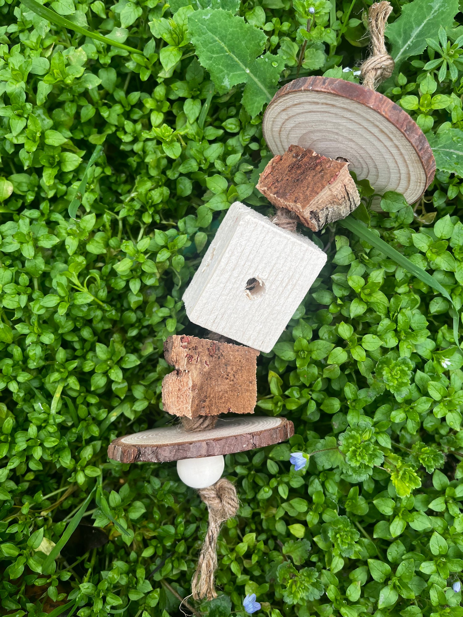 Giochini da scarico e foraging