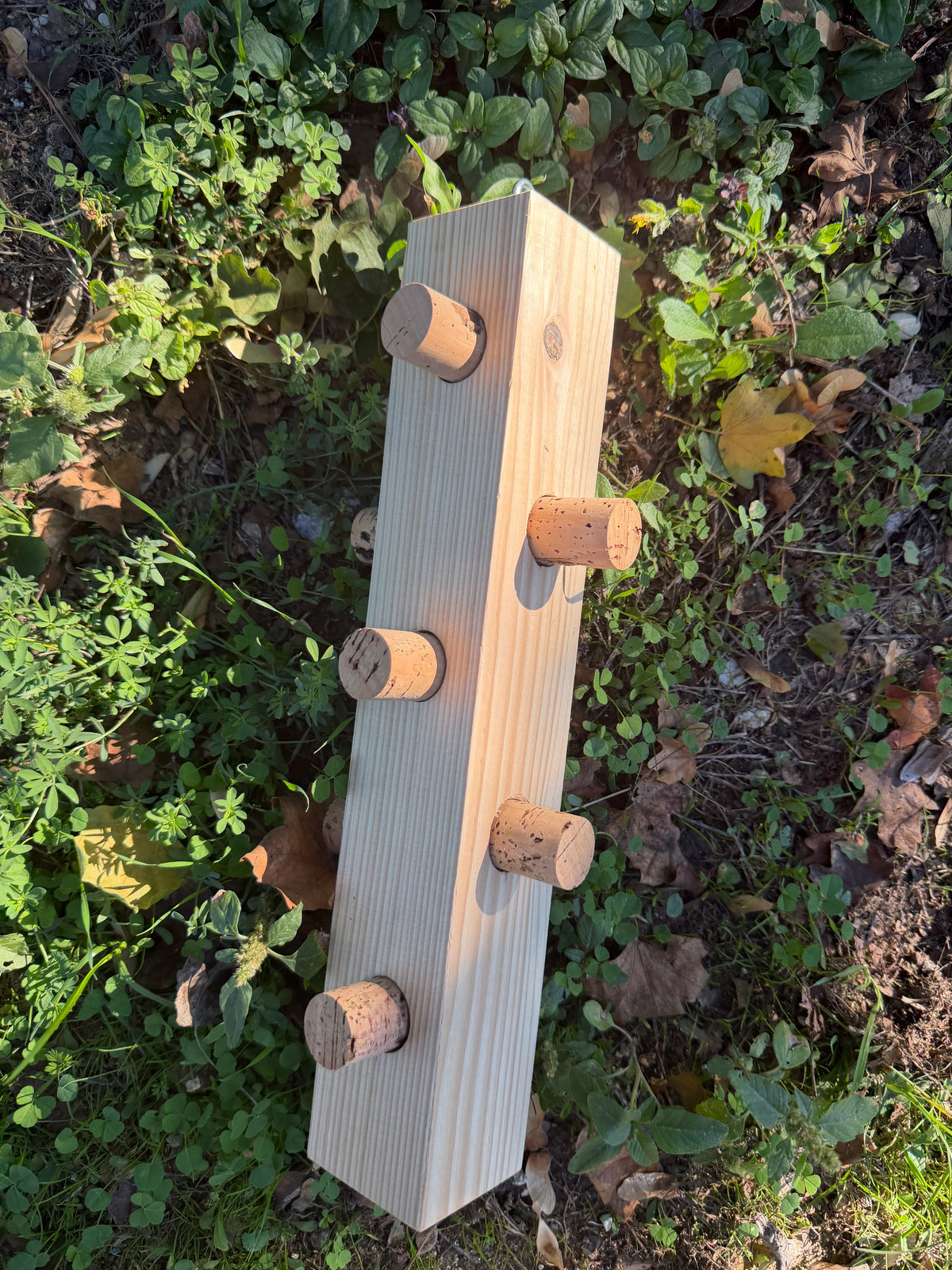 CORK PUZZLE MAXI – Foraging Block per grandi pappagalli