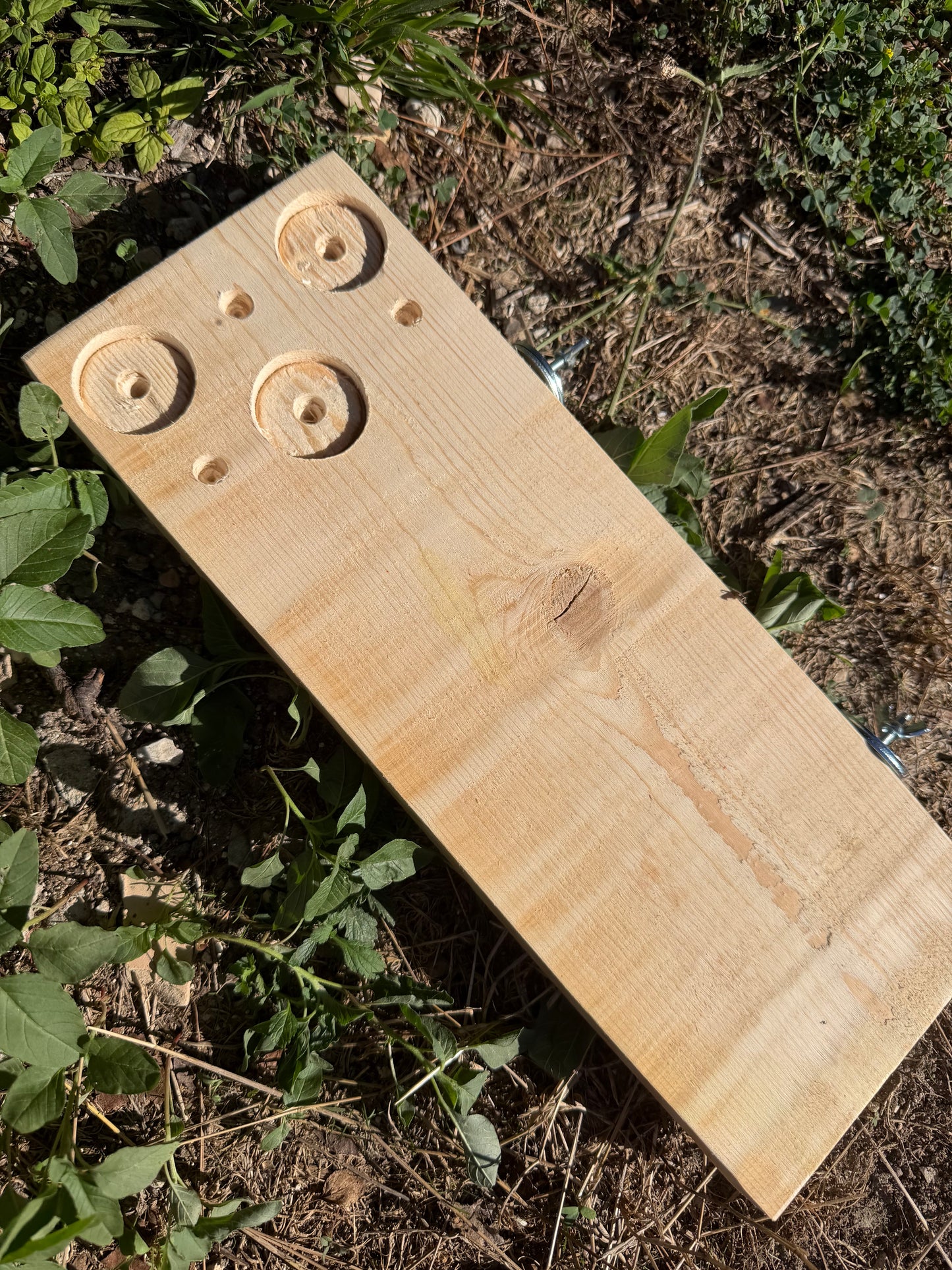 Foraging Board