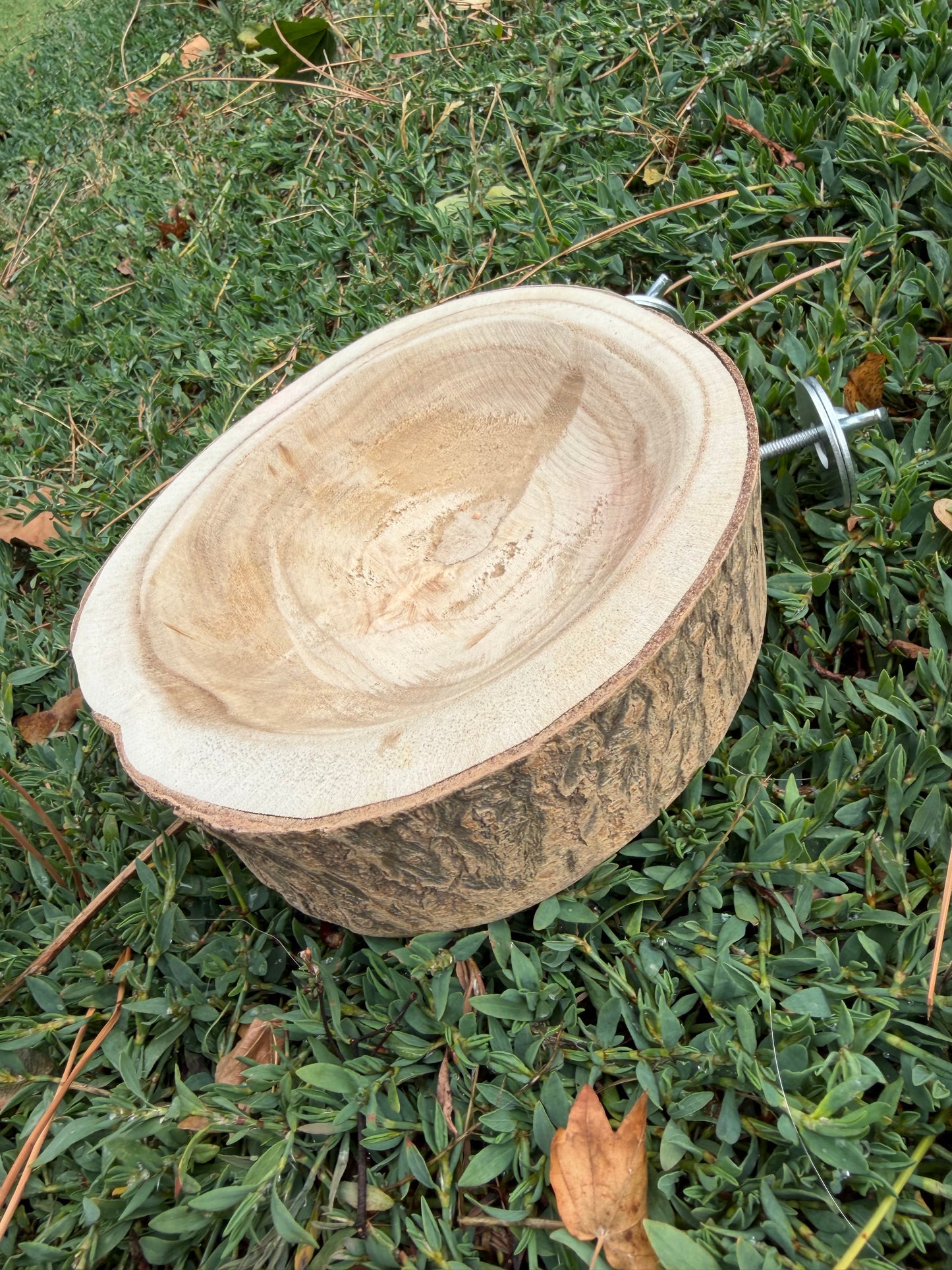 Foraging Bowl