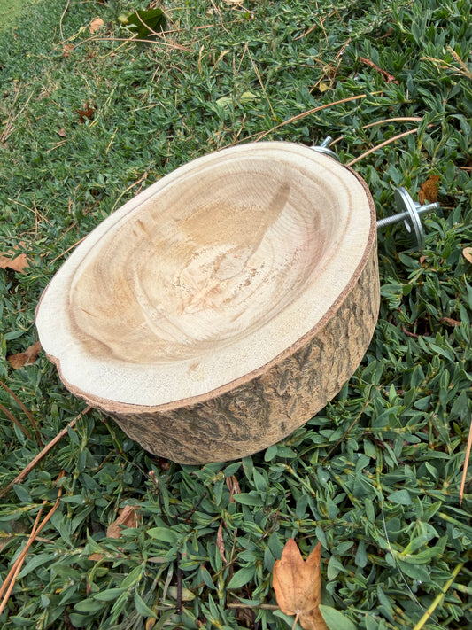 Foraging Bowl