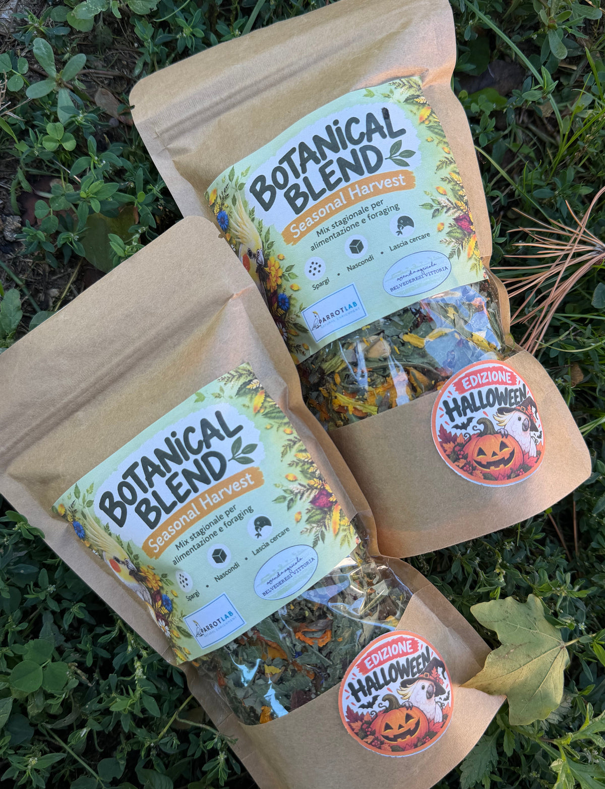Botanical Blend – Seasonal Harvest | Halloween Edition 🎃