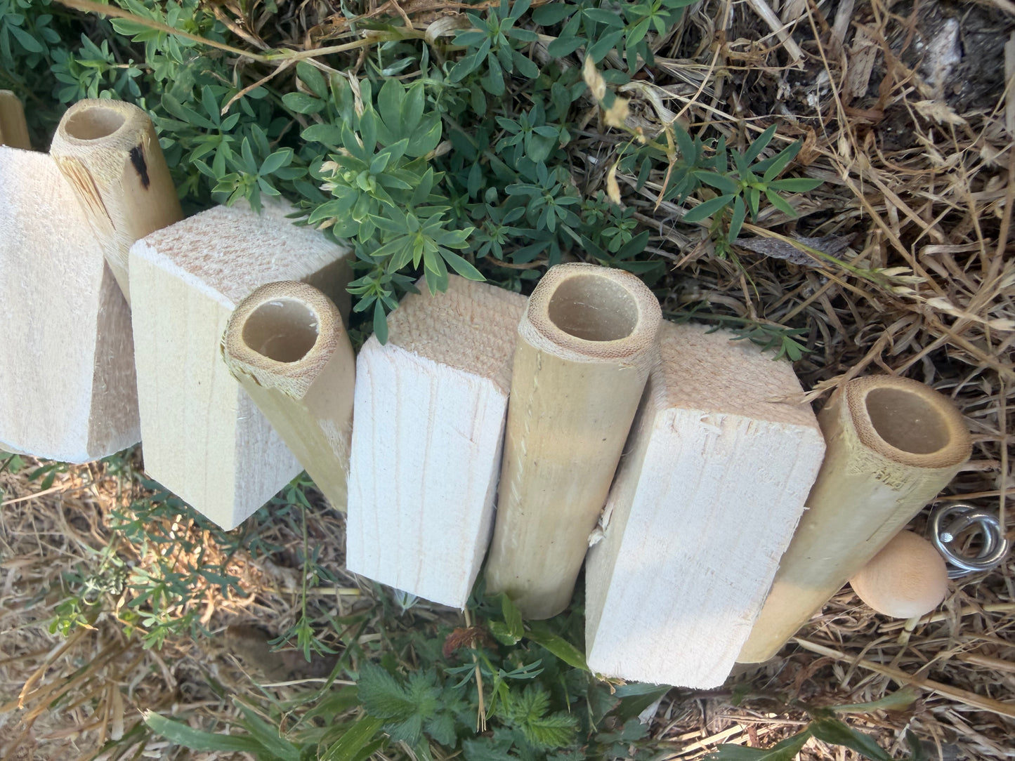 Bamboo crunch