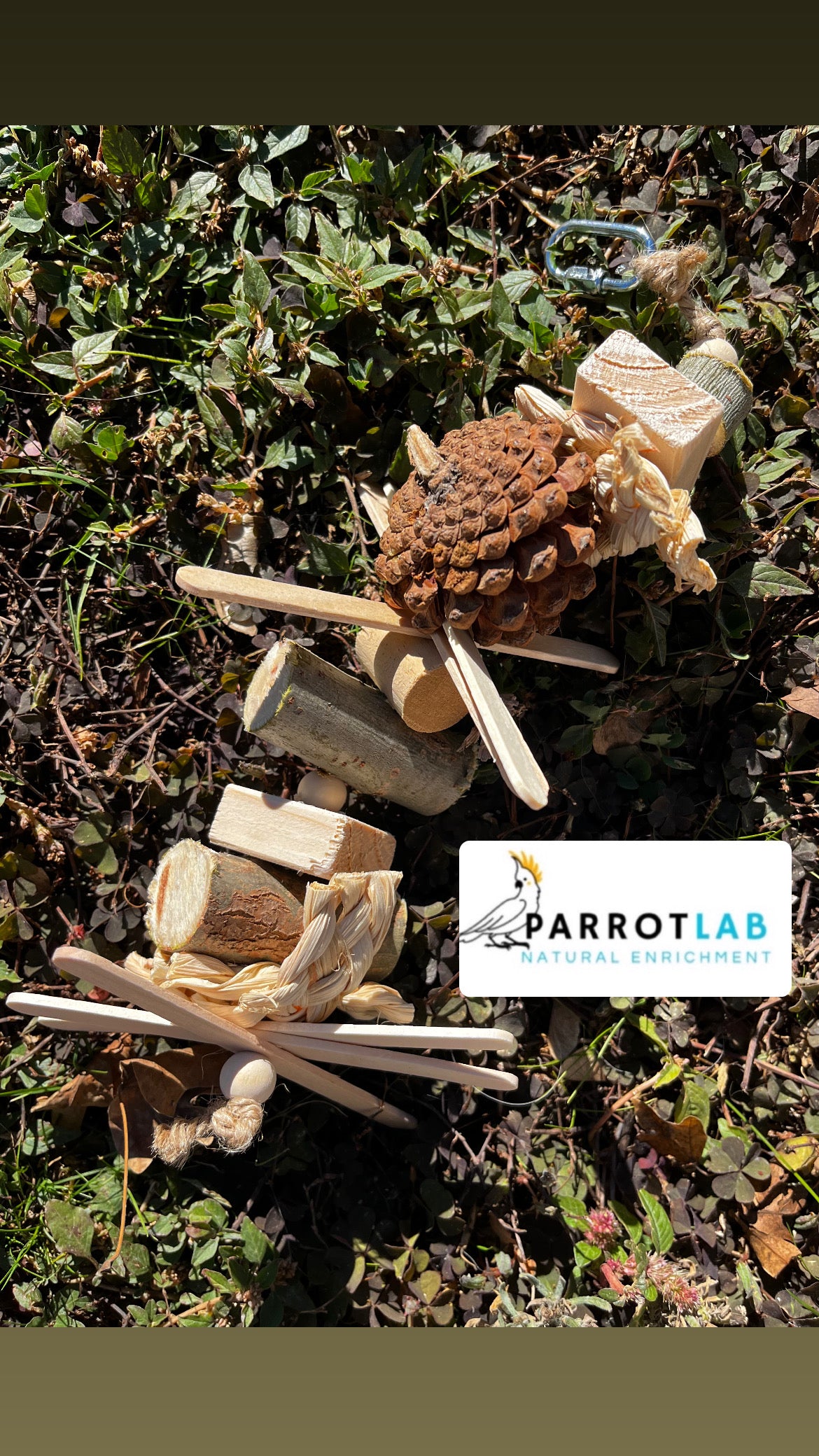 Nature chew little - pappagalli taglia piccola