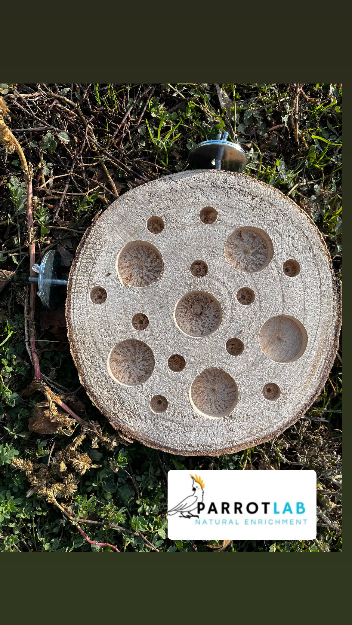 Disco foraging con ganci