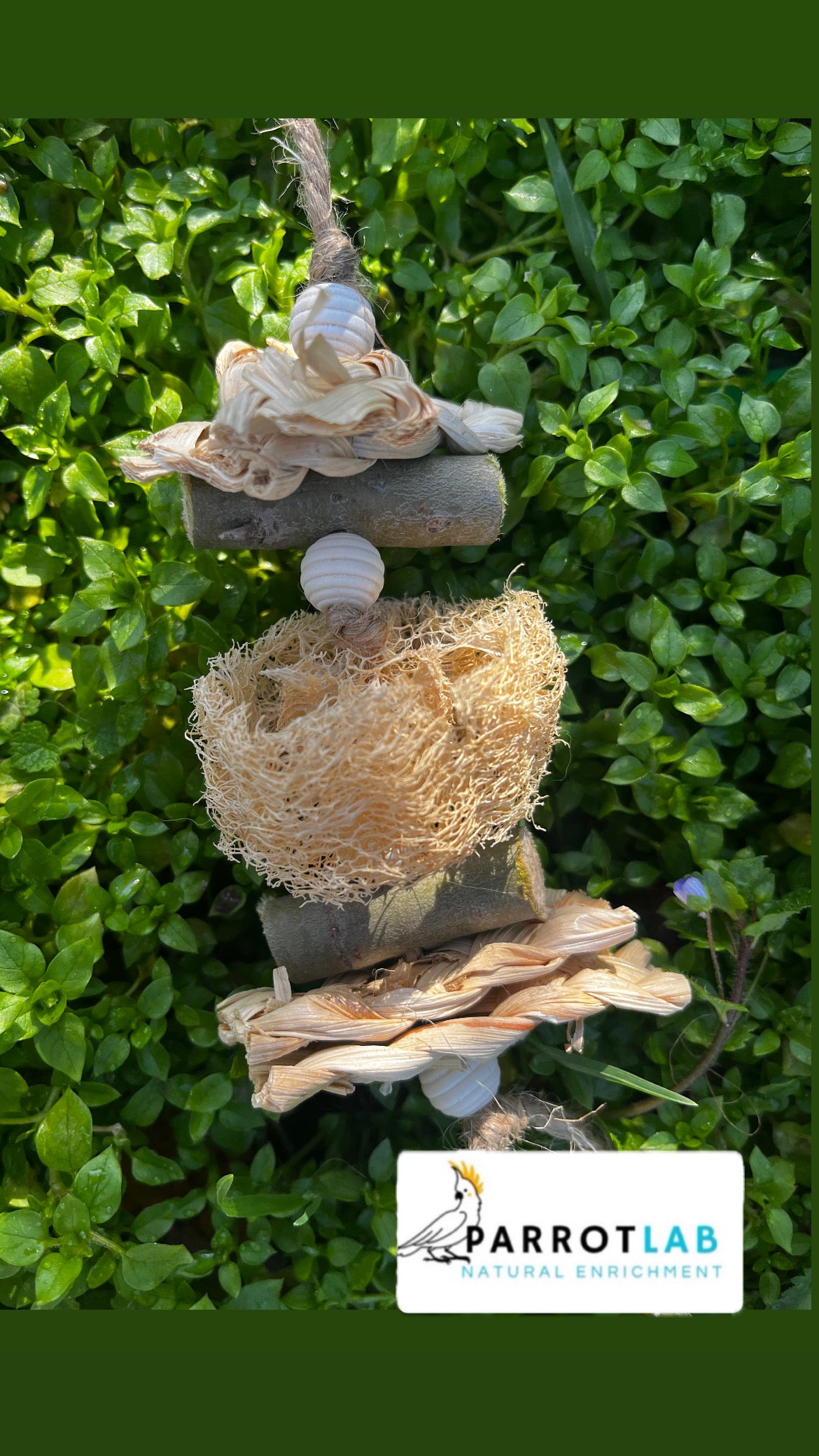 Mini Luffa
