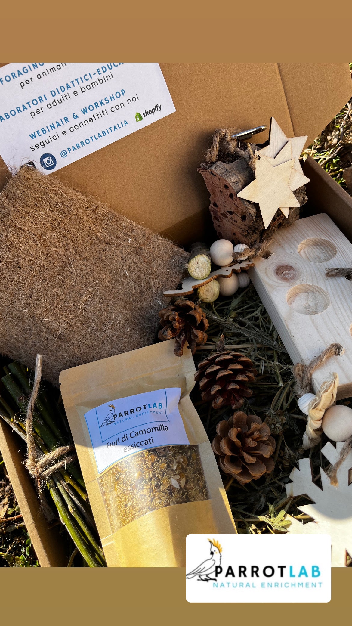 Box Foraging di Natale