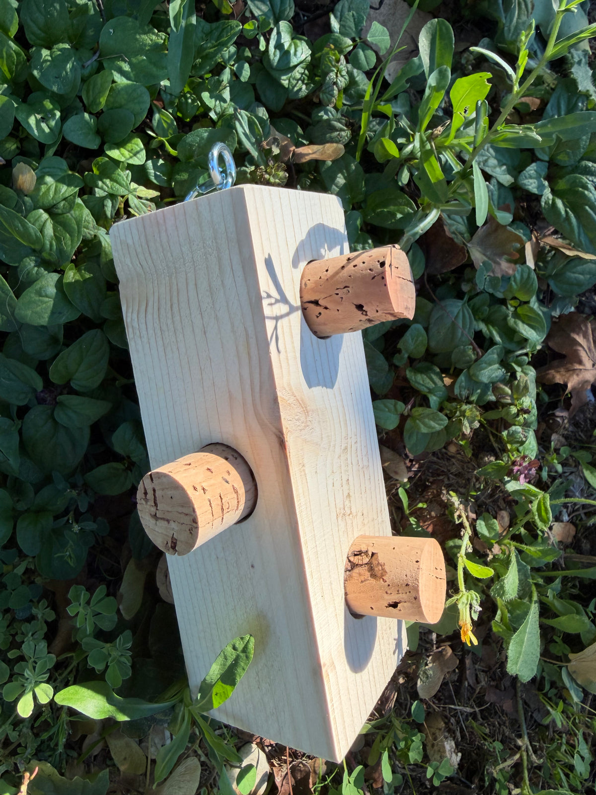 CORK PUZZLE – Foraging Block