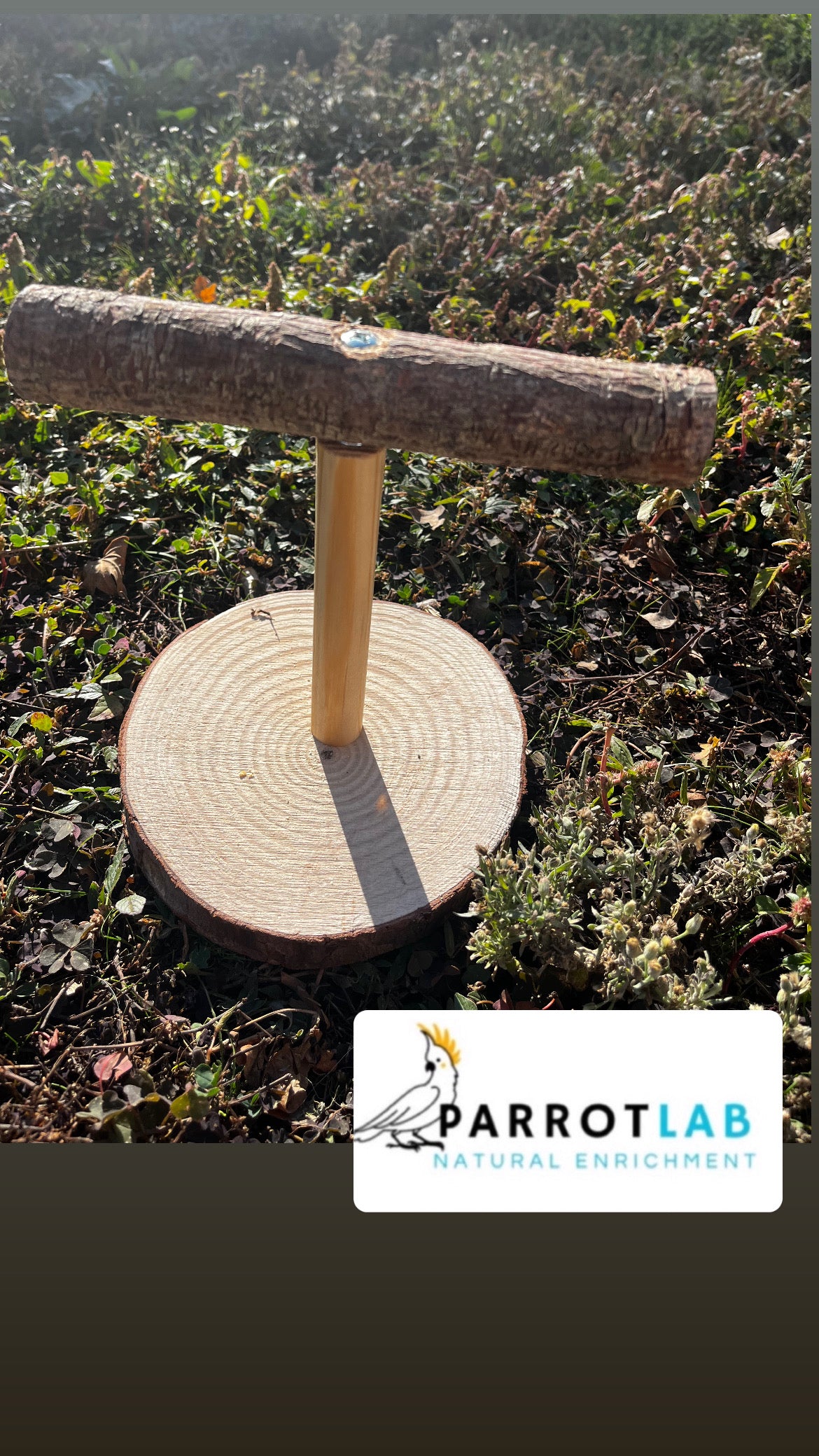 Trespolo da tavolo per pappagalli di taglia media e piccola