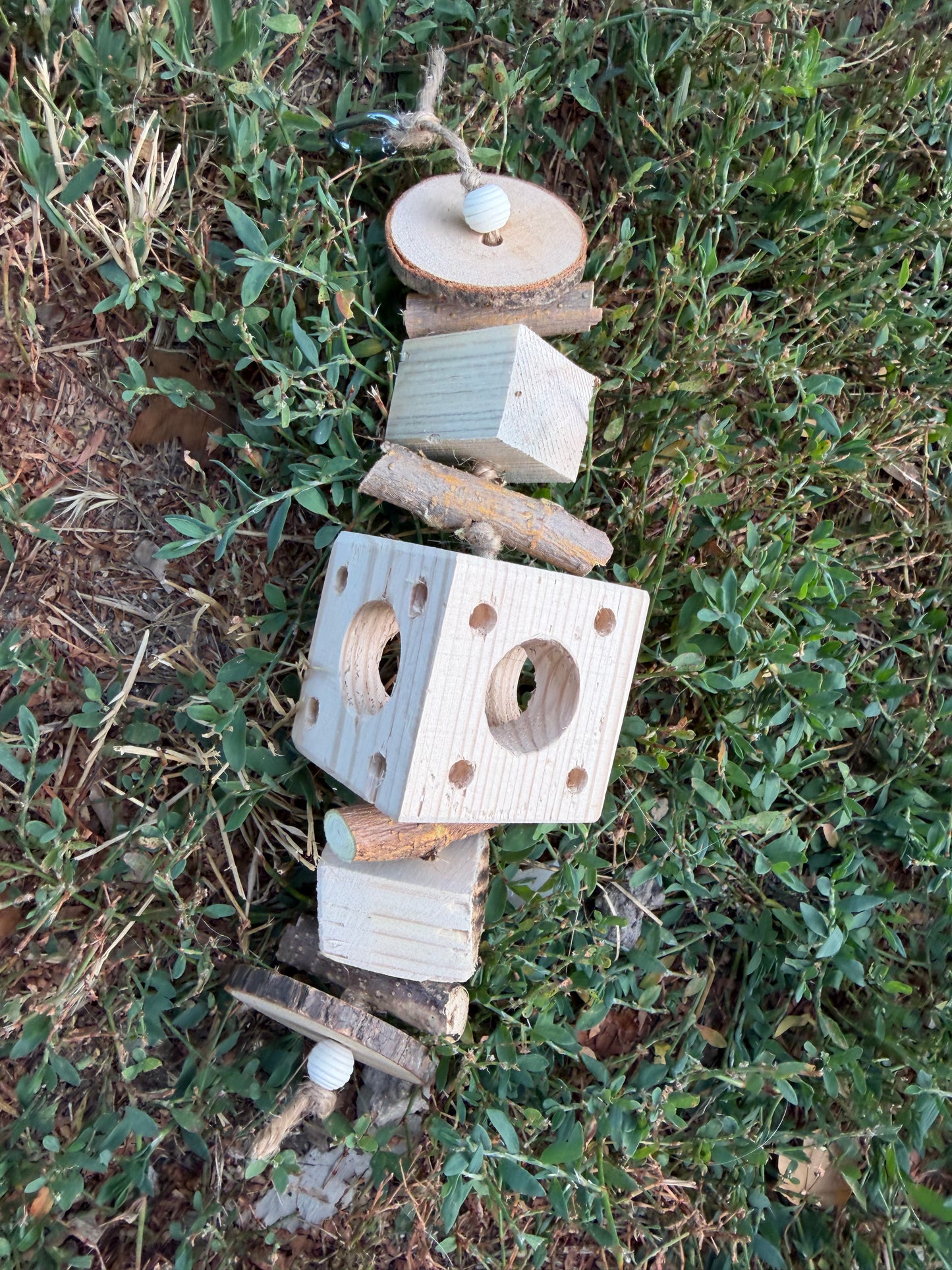 Foraging cube