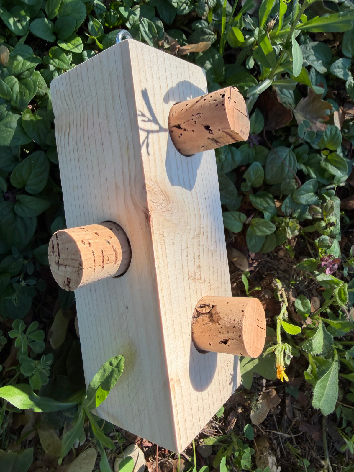 CORK PUZZLE – Foraging Block