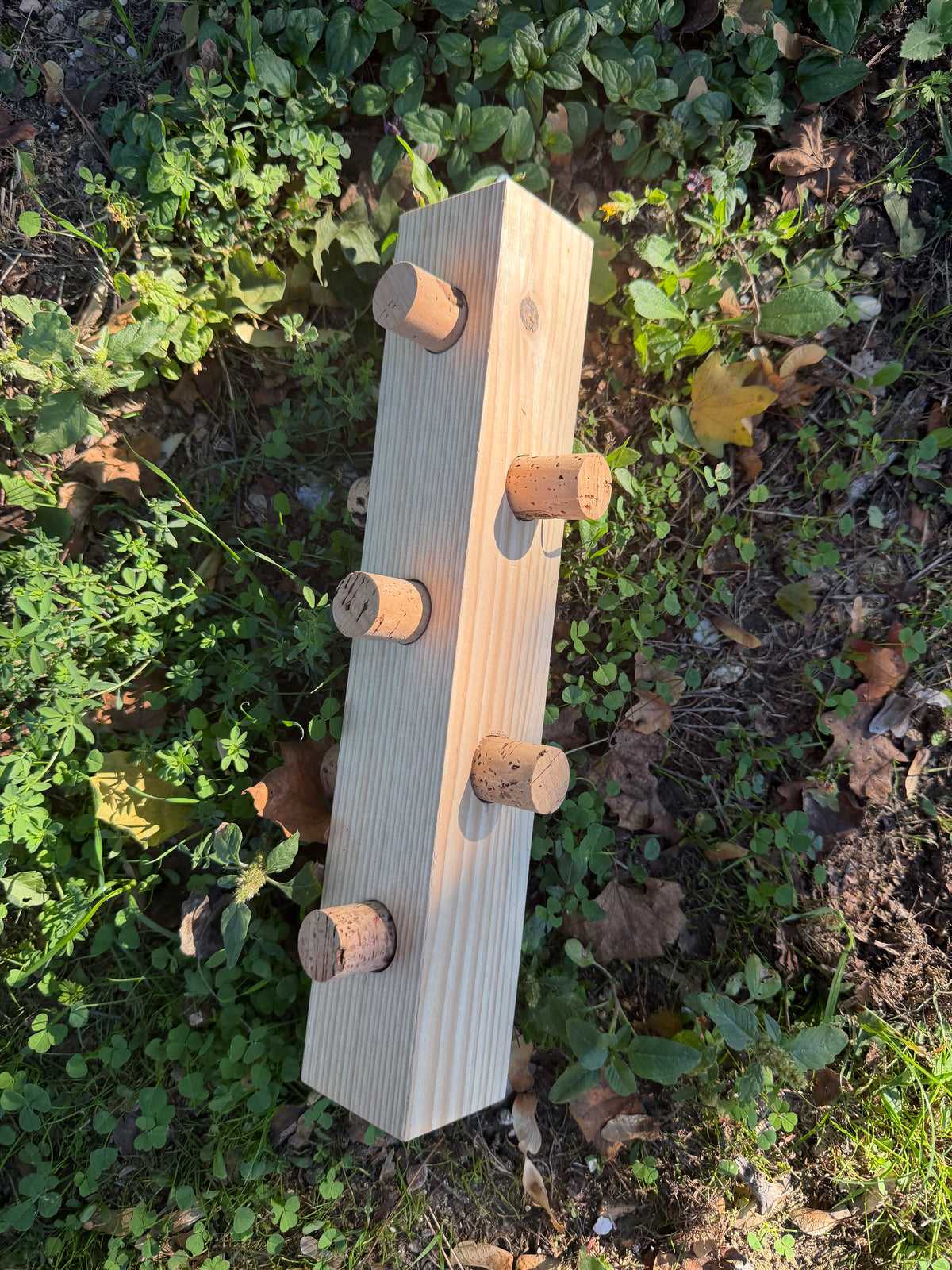 CORK PUZZLE MAXI – Foraging Block per grandi pappagalli