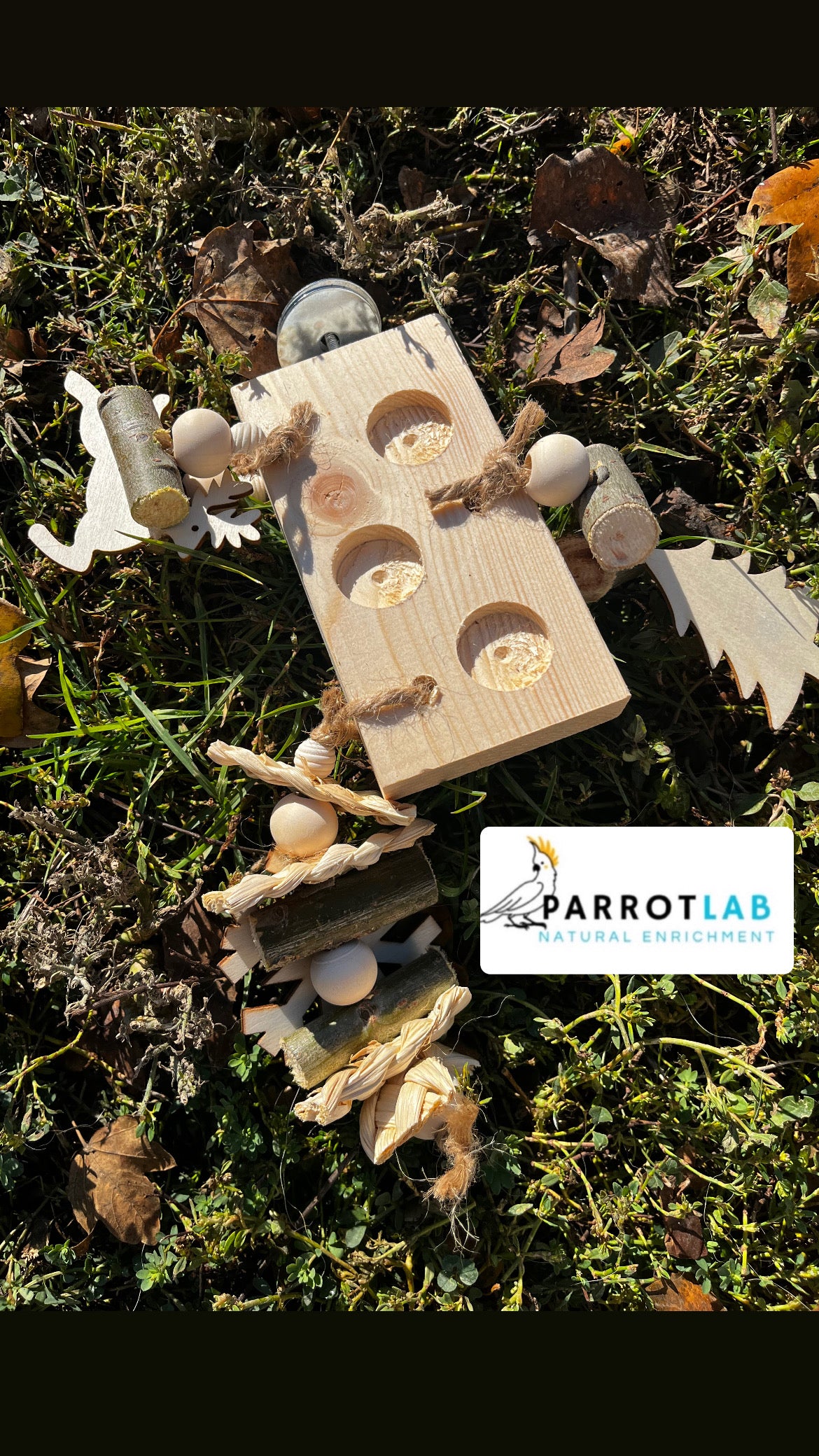 Box Foraging di Natale