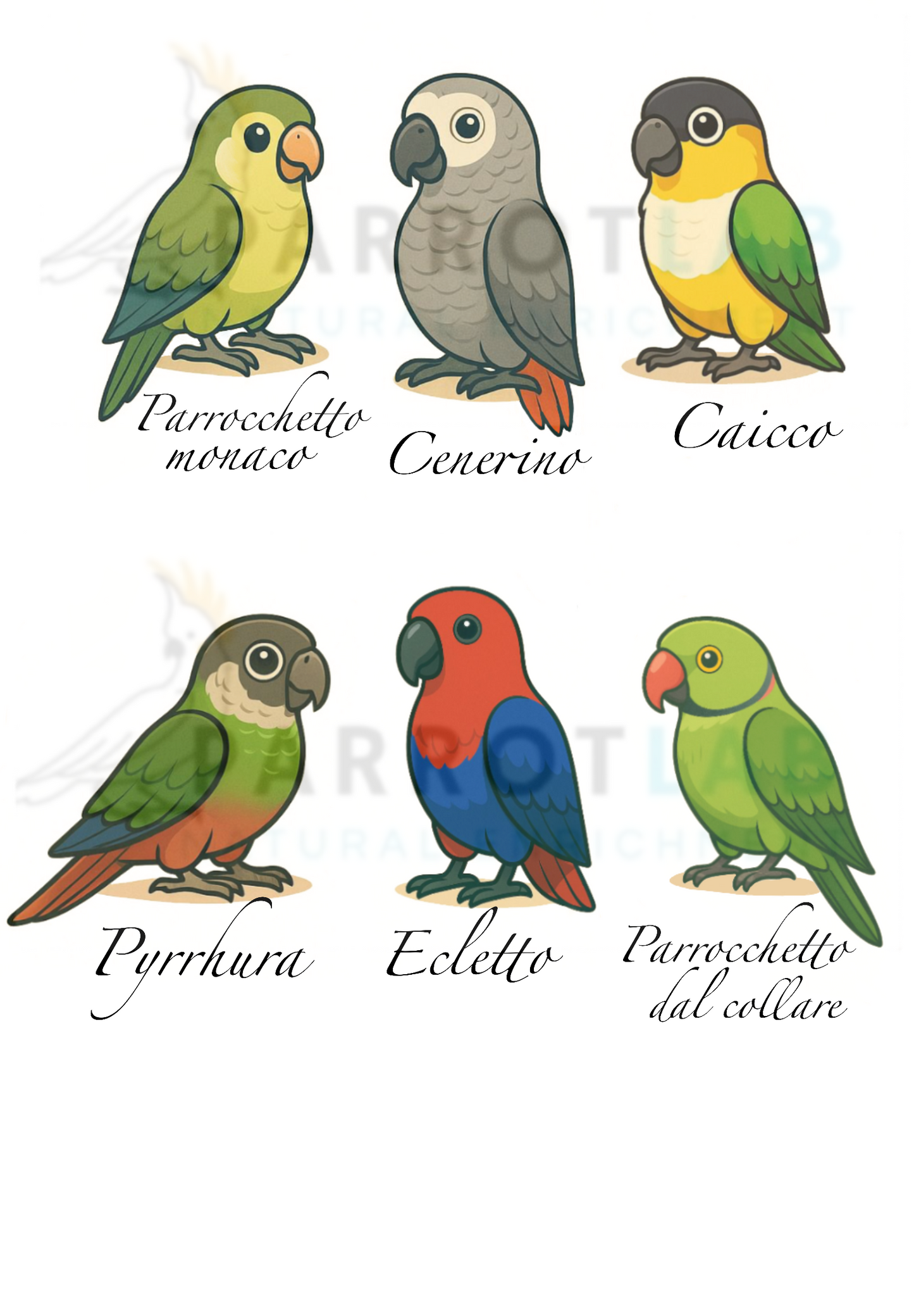 Maglia personalizzata “I know my chickens”