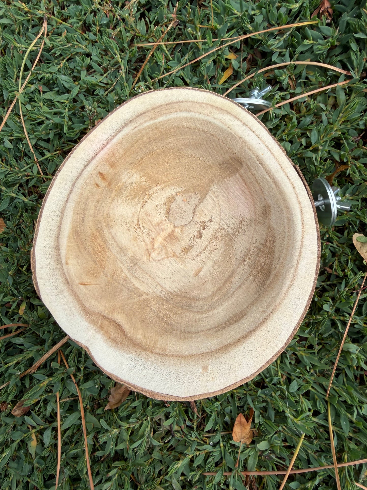 Foraging Bowl