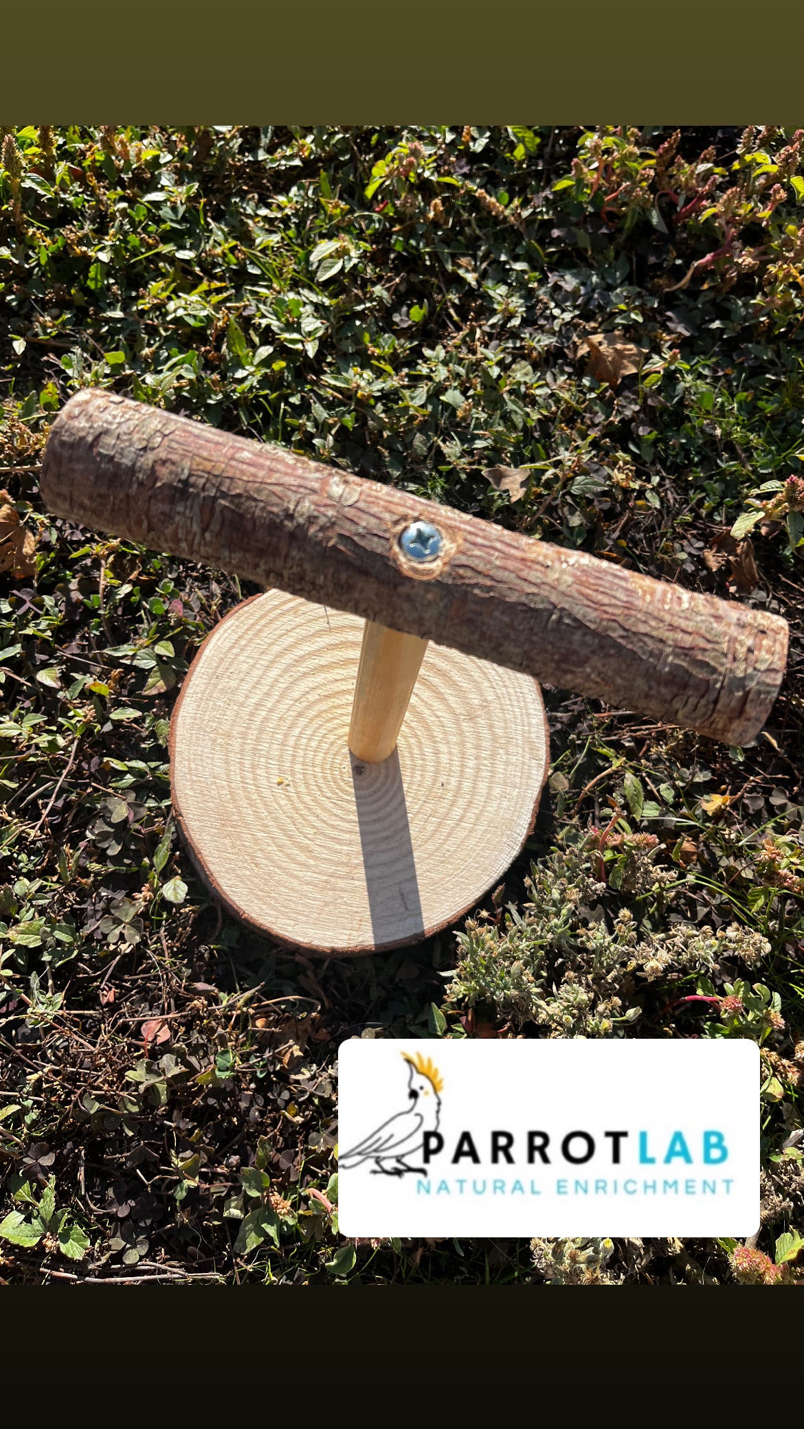 Trespolo da tavolo per pappagalli di taglia media e piccola