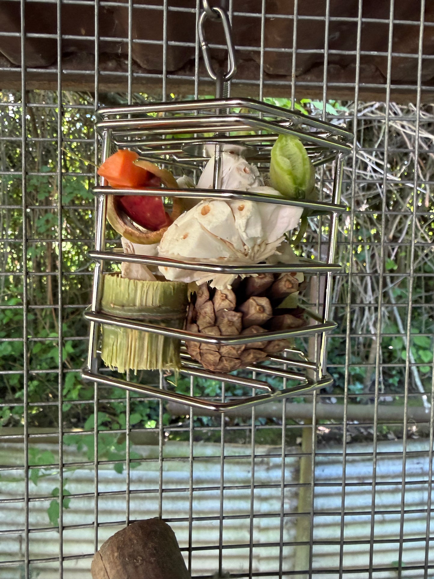Foraging cage