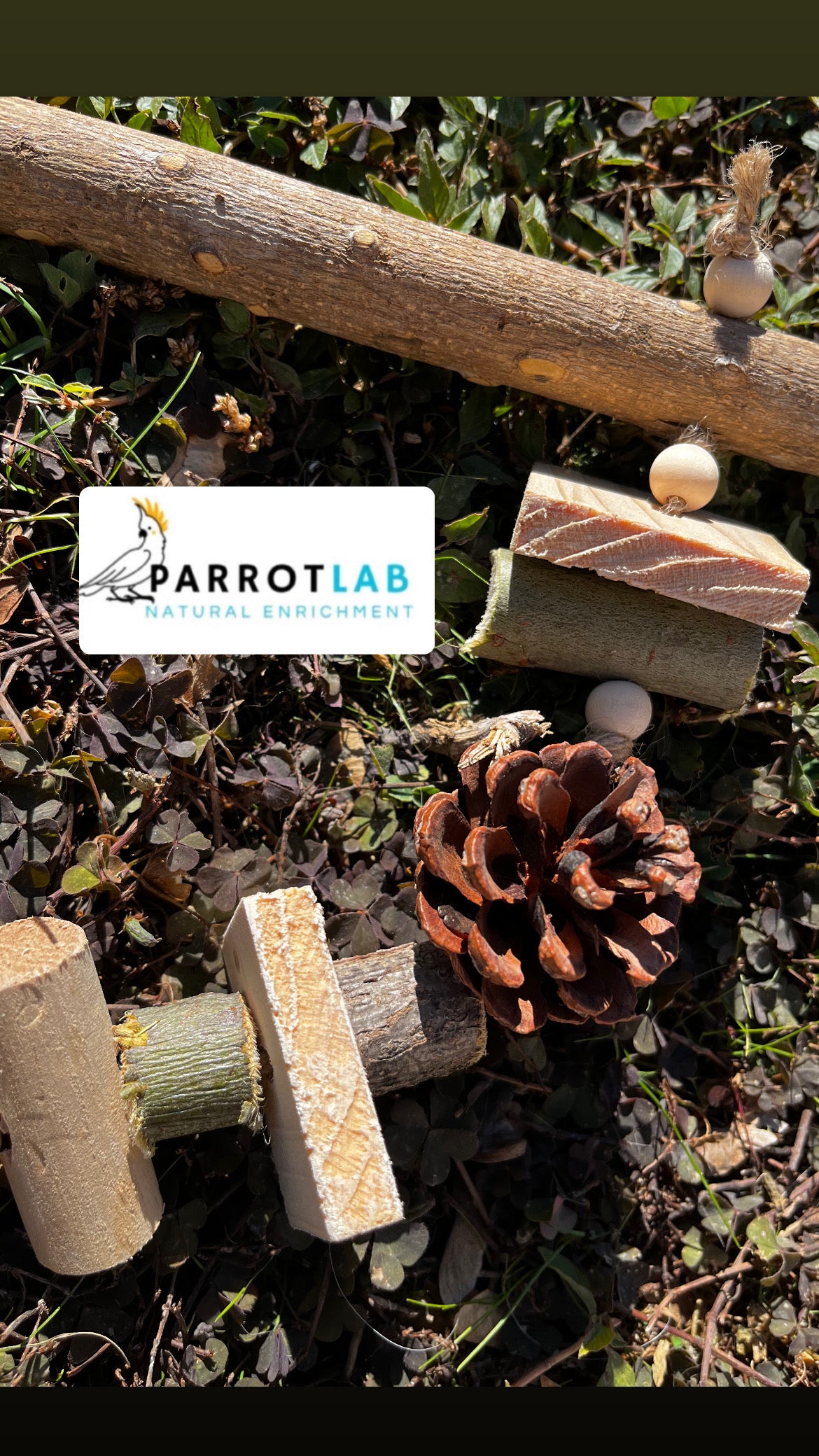 Trespolo Nature con gioco in nocciolo