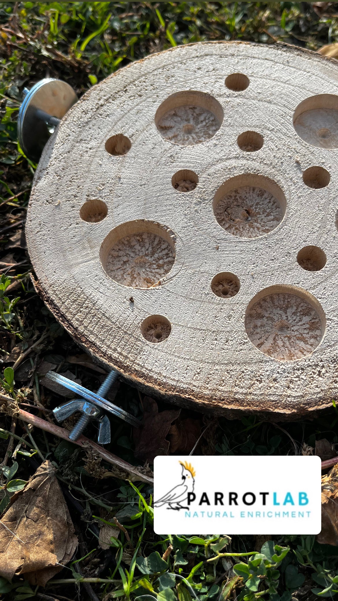 Disco foraging con ganci