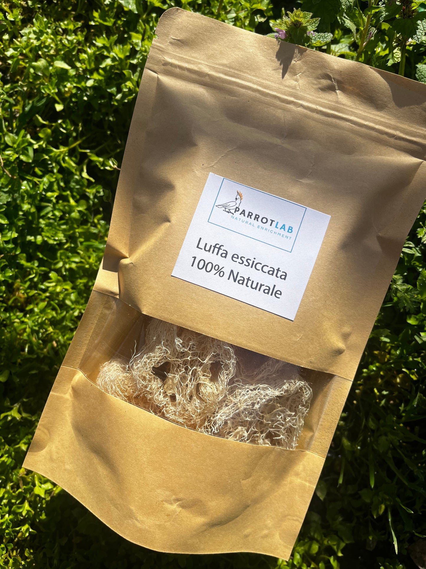 Luffa essiccata 100% naturale