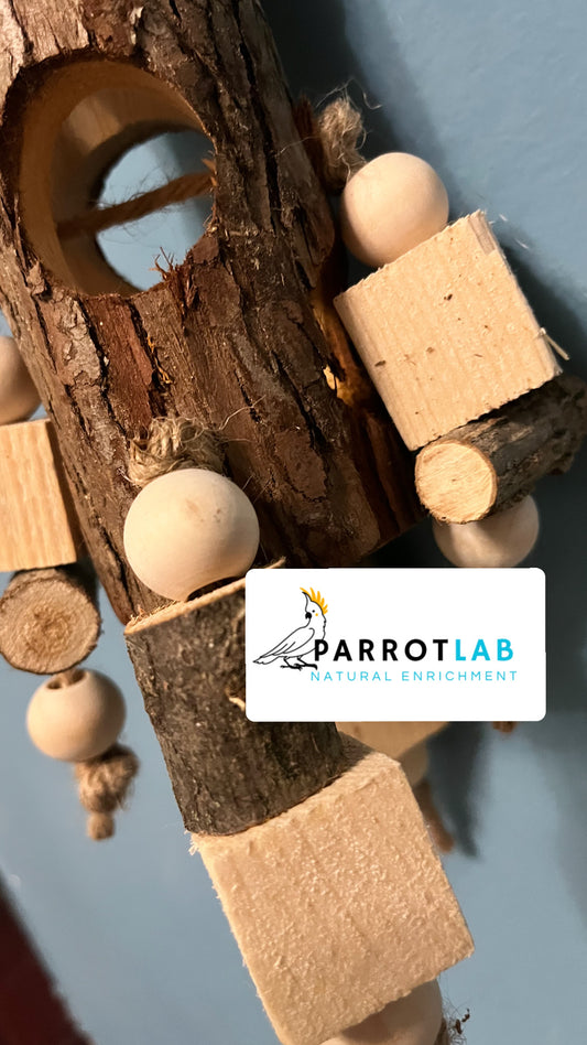 Foraging Tower