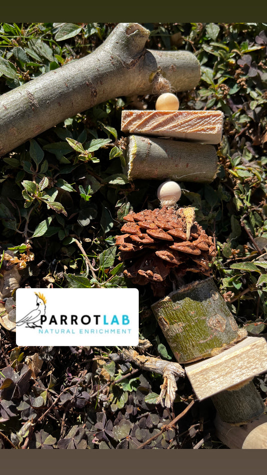 Trespolo Nature in eucalipto con gioco