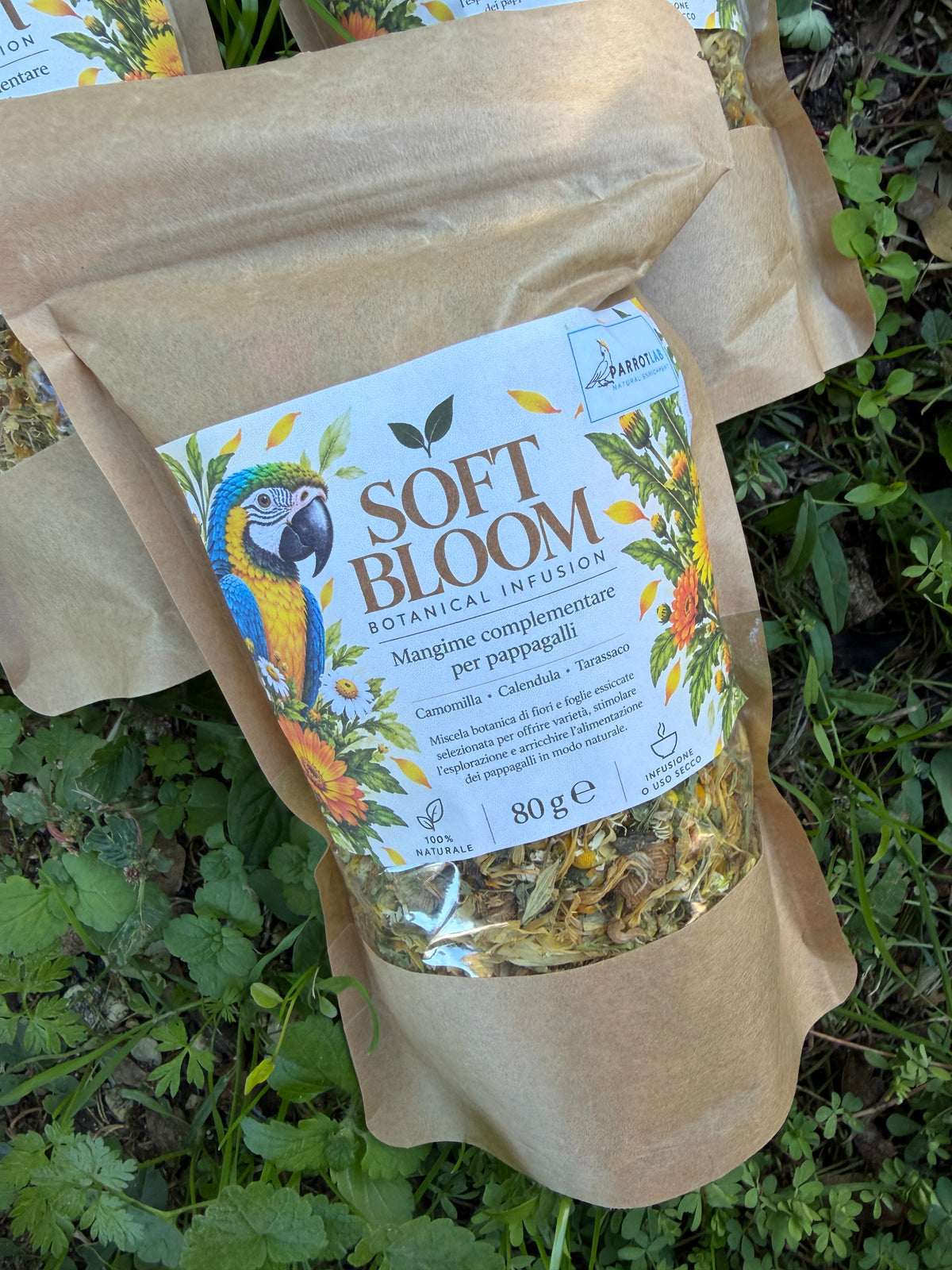 Soft Bloom - Botanical Infusion