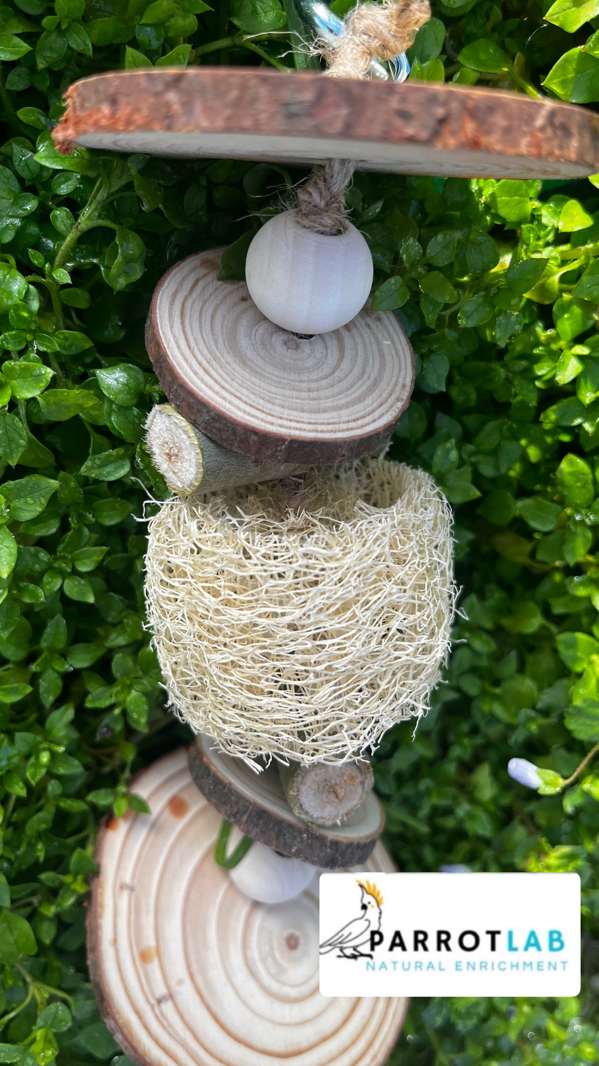 Medium loofah