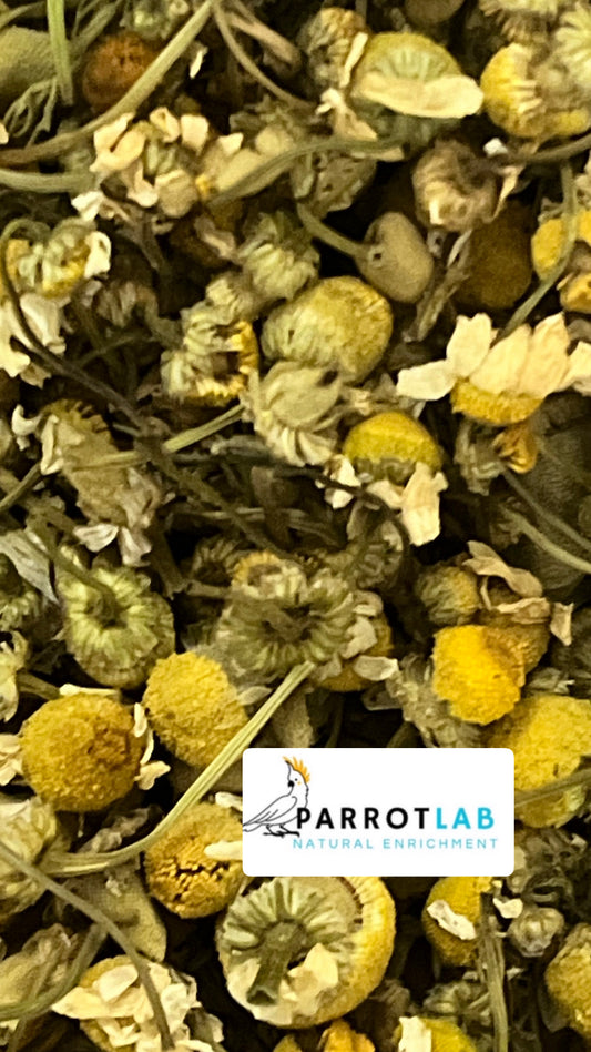 Fiori di Camomilla essiccati