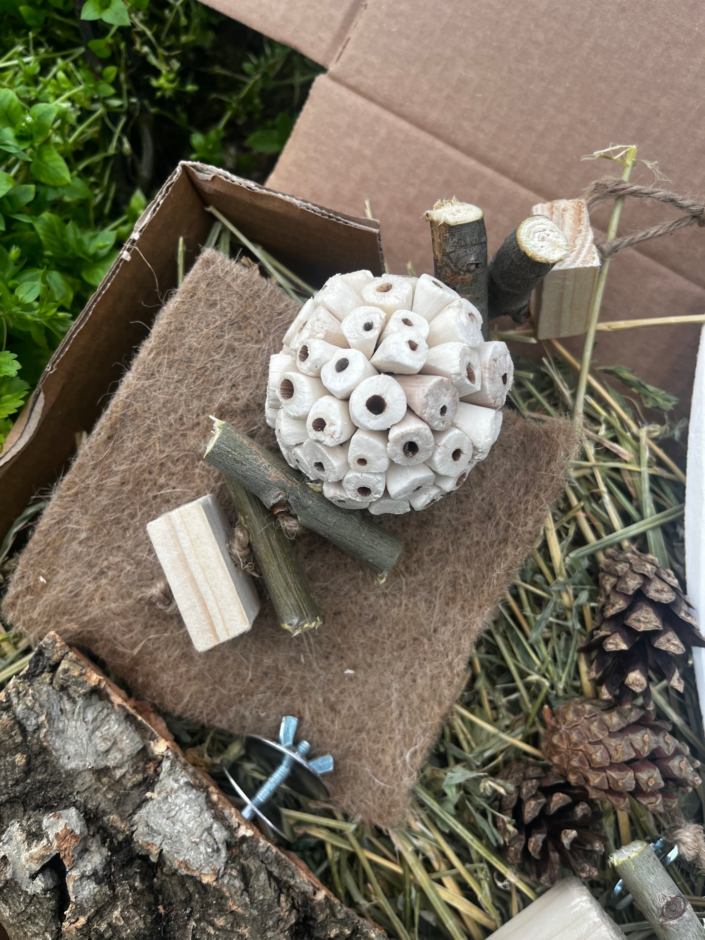 Advance Foraging Pack
