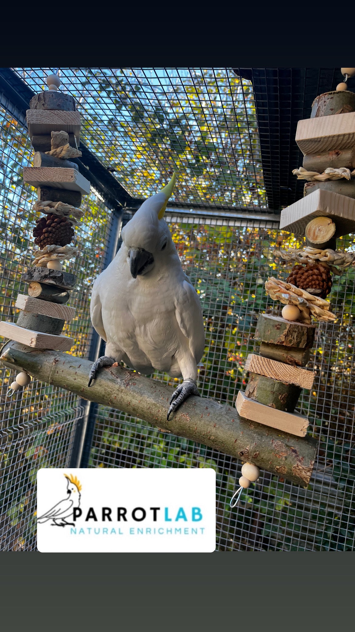 Altalena Nature Maxi