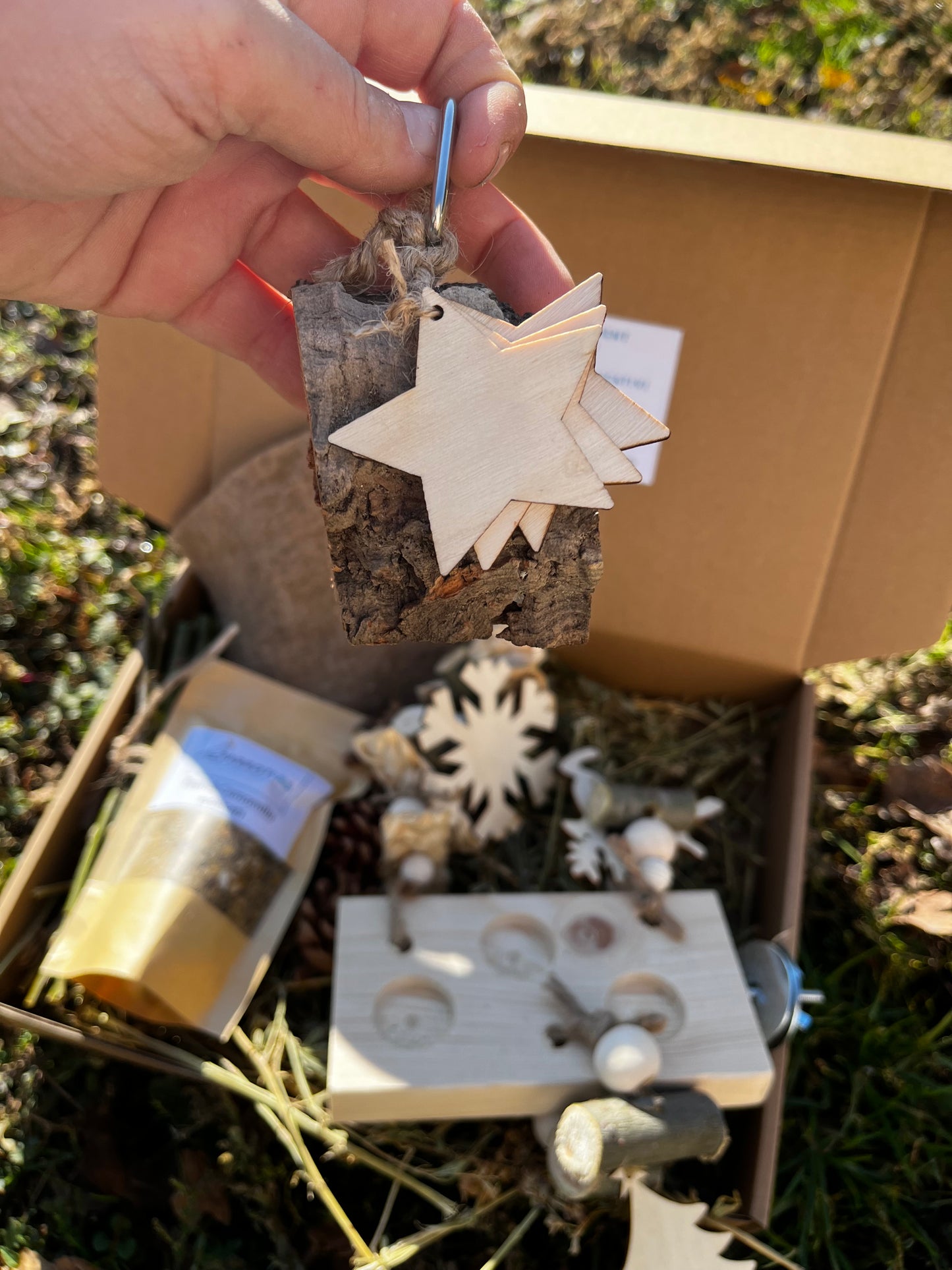 Box Foraging di Natale