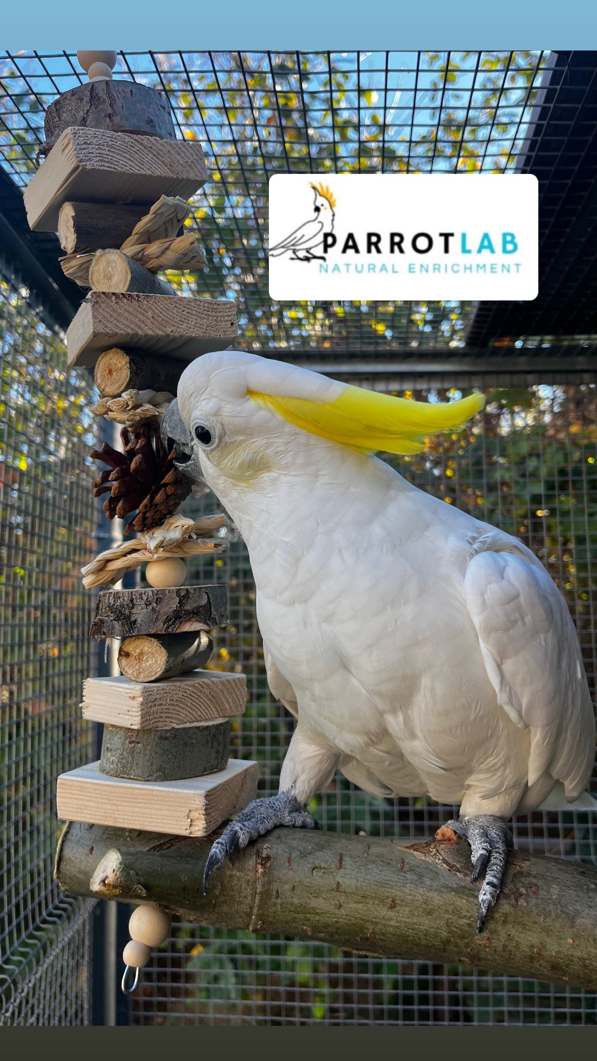 Altalena Nature Maxi