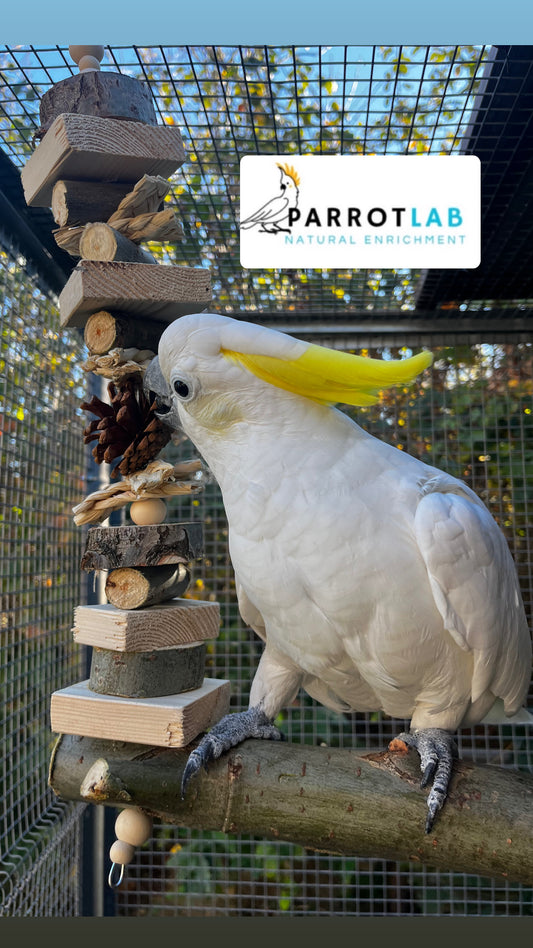 Altalena Nature Maxi