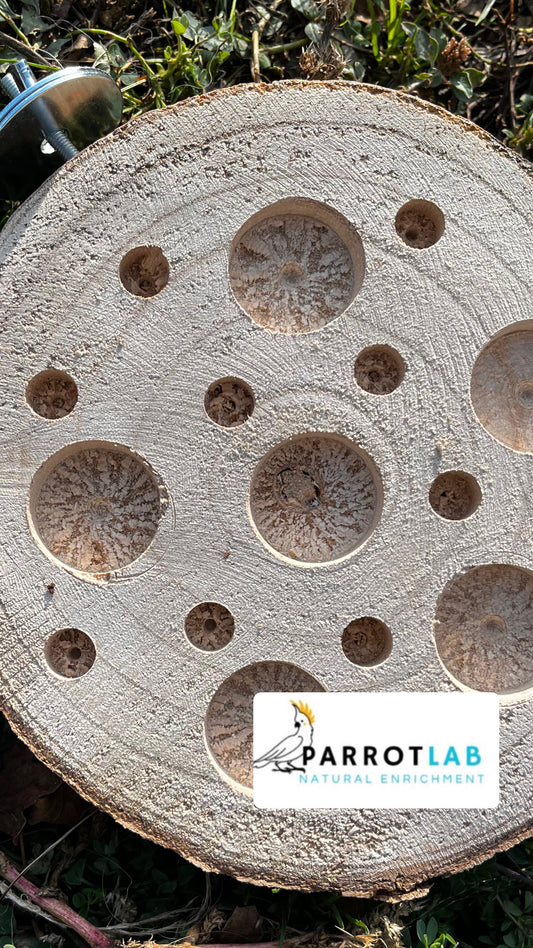 Disco foraging con ganci