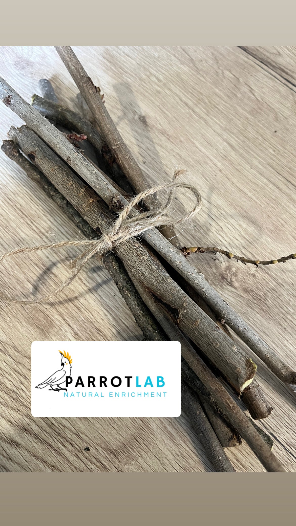 Stick di Nocciolo